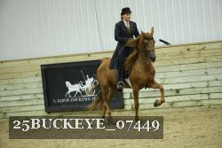 25BUCKEYE_07449 thumbnail