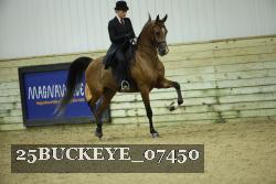 25BUCKEYE_07450 thumbnail