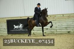 25BUCKEYE_07454 thumbnail