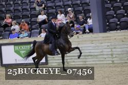 25BUCKEYE_07456 thumbnail