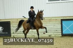 25BUCKEYE_07459 thumbnail