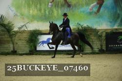 25BUCKEYE_07460 thumbnail