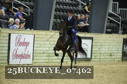 25BUCKEYE_07462 thumbnail