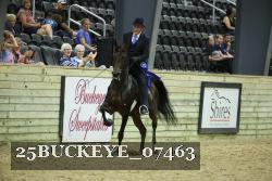 25BUCKEYE_07463 thumbnail