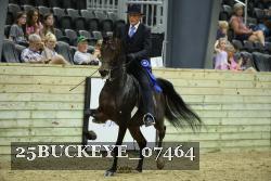 25BUCKEYE_07464 thumbnail