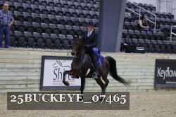 25BUCKEYE_07465 thumbnail