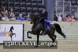 25BUCKEYE_07466 thumbnail