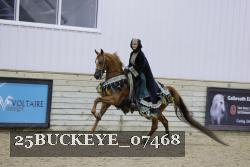 25BUCKEYE_07468 thumbnail
