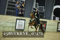 25BUCKEYE_07472 thumbnail