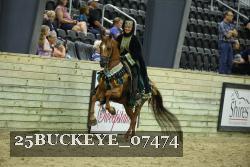 25BUCKEYE_07474 thumbnail