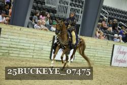 25BUCKEYE_07475 thumbnail