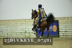 25BUCKEYE_07481 thumbnail