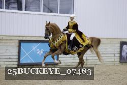25BUCKEYE_07483 thumbnail