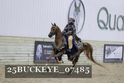 25BUCKEYE_07485 thumbnail