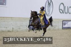 25BUCKEYE_07486 thumbnail