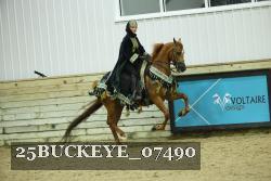 25BUCKEYE_07490 thumbnail