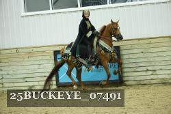 25BUCKEYE_07491 thumbnail