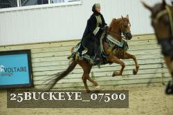 25BUCKEYE_07500 thumbnail