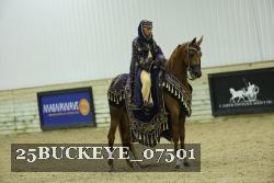 25BUCKEYE_07501 thumbnail