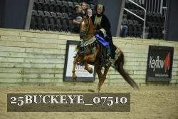 25BUCKEYE_07510 thumbnail