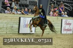 25BUCKEYE_07511 thumbnail