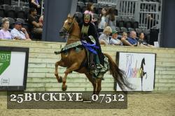 25BUCKEYE_07512 thumbnail