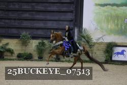 25BUCKEYE_07513 thumbnail