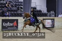 25BUCKEYE_07516 thumbnail