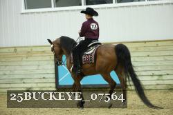 25BUCKEYE_07564 thumbnail