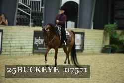 25BUCKEYE_07571 thumbnail