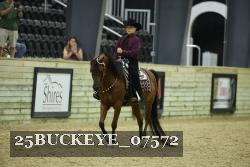 25BUCKEYE_07572 thumbnail
