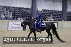 25BUCKEYE_07588 thumbnail