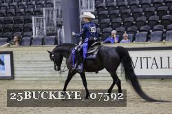 25BUCKEYE_07592 thumbnail