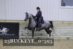 25BUCKEYE_07595 thumbnail