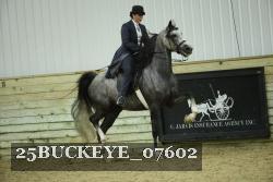 25BUCKEYE_07602 thumbnail