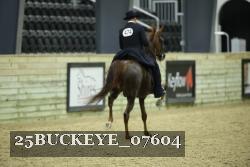 25BUCKEYE_07604 thumbnail