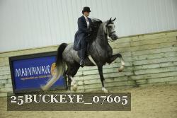 25BUCKEYE_07605 thumbnail
