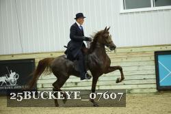 25BUCKEYE_07607 thumbnail