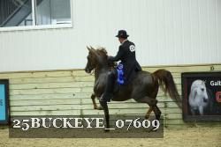 25BUCKEYE_07609 thumbnail
