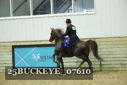 25BUCKEYE_07610 thumbnail