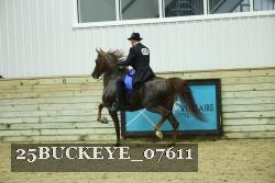 25BUCKEYE_07611 thumbnail