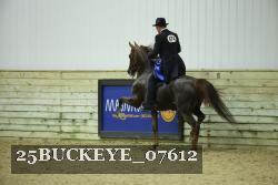 25BUCKEYE_07612 thumbnail