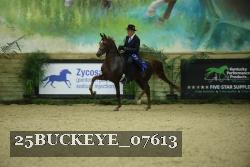 25BUCKEYE_07613 thumbnail