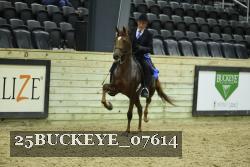 25BUCKEYE_07614 thumbnail