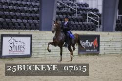 25BUCKEYE_07615 thumbnail