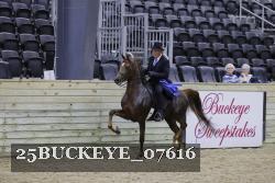 25BUCKEYE_07616 thumbnail
