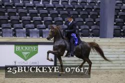 25BUCKEYE_07617 thumbnail