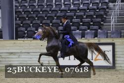 25BUCKEYE_07618 thumbnail