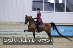 25BUCKEYE_07519 thumbnail