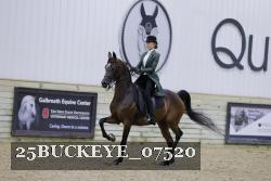 25BUCKEYE_07520 thumbnail